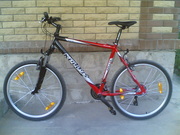 Kellys Scarpe red 2009