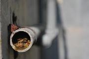 Сантехнические услуги!